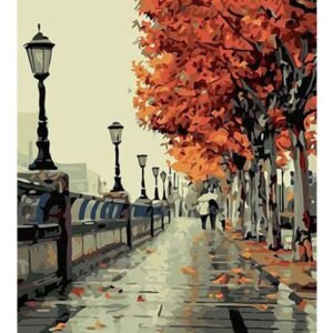 Framed Picture DIY Painting