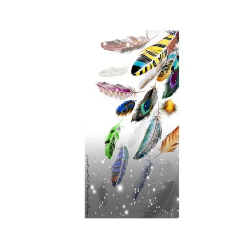 Modern Abstract Colorful Feather Art Canvas Painting Picture - Image 2