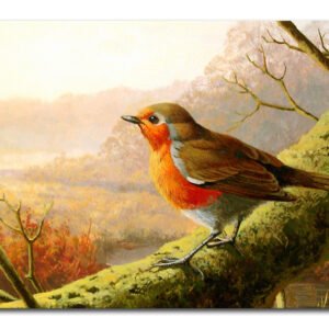 5D Diamond Picture Frameless Round Diamond Square Diamond